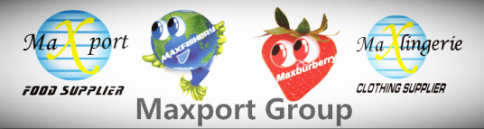 MAXPORT GROUP